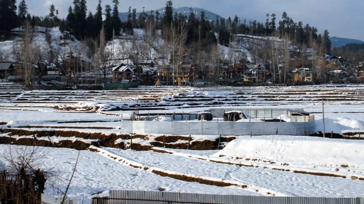 Weather: - Weather: पश्चिमी विक्षोभ सक्रिय, पहाड़ों पर बर्फबारी; मैदानों में बारिश के आसार, इन इलाकों में बढ़ेगी गर्मी