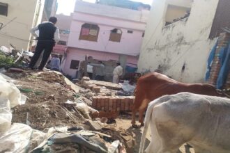 Bareilly - Bareilly News: अवैध कब्जों पर चला नगर निगम का बुलडोजर, कब्जामुक्त कराई बेशकीमती सरकारी जमीन