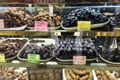 Lakhimpur - Lakhimpur Kheri News: विदेशों से आई खजूर की 18 से अधिक किस्में