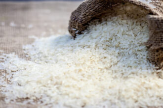 Food - Food Security: दुनिया में भूख से लड़ने के लिए दो लाख टन चावल आपूर्ति करेगा भारत, FCI-WFP में हुआ समझौता