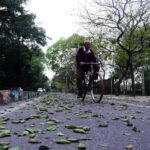 Weather:पश्चिमी - Weather:पश्चिमी विक्षोभ सक्रिय, उत्तर-पश्चिम में तापमान गिरेगा; समुद्री इलाकों में बारिश का अलर्ट