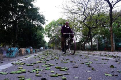 Weather:पश्चिमी - Weather:पश्चिमी विक्षोभ सक्रिय, उत्तर-पश्चिम में तापमान गिरेगा; समुद्री इलाकों में बारिश का अलर्ट