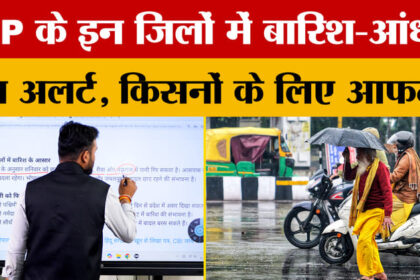 MP Weather - MP Weather Alert: आंधी-तूफान के साथ गिरेगा पानी, किसानों की बढ़ी चिंता