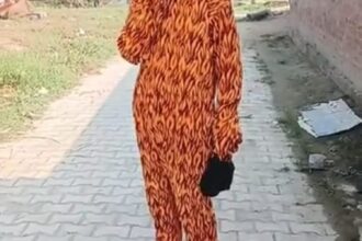 Lakhimpur - Lakhimpur Kheri News: बंदरों को भगाने के लिए बाघ बनकर घूम रहे युवा