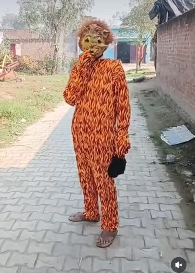 Lakhimpur - Lakhimpur Kheri News: बंदरों को भगाने के लिए बाघ बनकर घूम रहे युवा