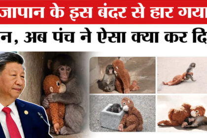 Japan - Japan Viral Monkey Punch Story in Hindi: एक बंदर से कैसे हार गया चीन?
