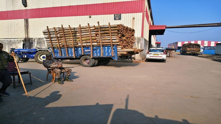 UP News: - UP News: बरेली में पांचजन्य प्लाई बोर्ड फैक्टरी में आयकर का छापा, विभाग की कई टीमें कर रहीं जांच