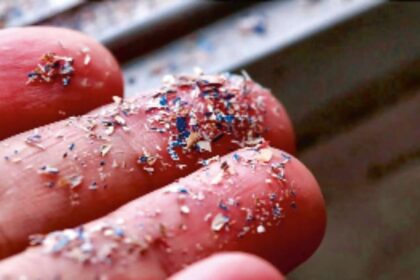 चिंताजनक: - चिंताजनक: प्रोस्टेट कैंसर टिश्यू में प्लास्टिक का उच्च स्तर, बढ़ रहा खतरा; माइक्रोप्लास्टिक बढ़ा रहा खतरा?