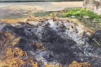 UP: शुभ - UP: शुभ मुहूर्त से पहले ही होलिका में लगा दी आग, अराजक तत्वों की करतूत से लोगों में फैला आक्रोश