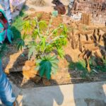 Lakhimpur - Lakhimpur Kheri News: बुंधेली नानकार में प्रशासन ने होली रखवाकर निपटवाया विवाद