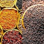 आंकड़ा: - आंकड़ा: गर्मी की फसलों का कुल रकबा घटा, पर दलहन व तिलहन का बुवाई रकबा बढ़ा; 0.31 लाख हेक्टेयर में बोया बाजरा