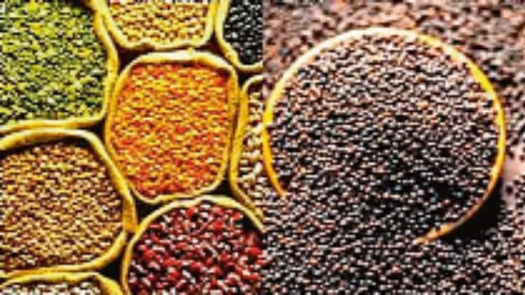 आंकड़ा: - आंकड़ा: गर्मी की फसलों का कुल रकबा घटा, पर दलहन व तिलहन का बुवाई रकबा बढ़ा; 0.31 लाख हेक्टेयर में बोया बाजरा