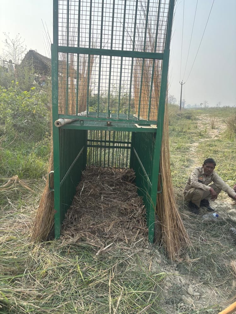 Lakhimpur - Lakhimpur Kheri News: तेंदुए के हमले में किशोर की मौत