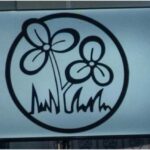 टीएमसी - टीएमसी का दावा: पश्चिम बंगाल में मतदाता सूची में गड़बड़ी से तनाव में दो लोगों ने की खुदकुशी, एसआईआर पर मढ़ा दोष