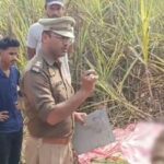 UP News: - UP News: लखीमपुर खीरी में किसान को बाघ ने बनाया निवाला, गन्ने के खेत में मिला अधखाया शव