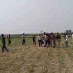 Video: - Video: लखीमपुर खीरी में बाघ ने किसान को मार डाला, खेत में मिला अधखाया शव