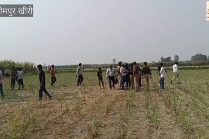 Video: - Video: लखीमपुर खीरी में बाघ ने किसान को मार डाला, खेत में मिला अधखाया शव