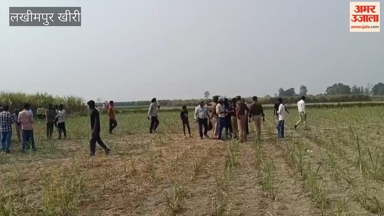 Video: - Video: लखीमपुर खीरी में बाघ ने किसान को मार डाला, खेत में मिला अधखाया शव