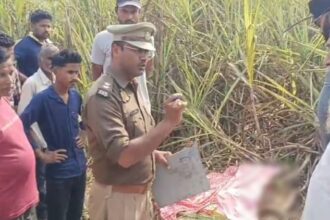 UP News: - UP News: लखीमपुर खीरी में किसान को बाघ ने बनाया निवाला, गन्ने के खेत में मिला अधखाया शव