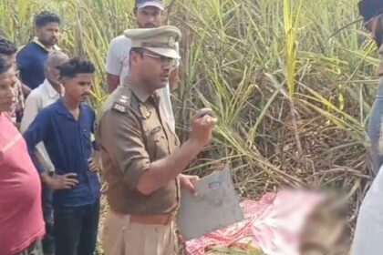 UP News: - UP News: लखीमपुर खीरी में किसान को बाघ ने बनाया निवाला, गन्ने के खेत में मिला अधखाया शव