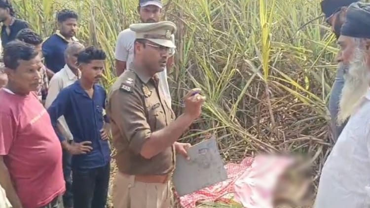 UP News: - UP News: लखीमपुर खीरी में किसान को बाघ ने बनाया निवाला, गन्ने के खेत में मिला अधखाया शव