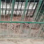 Lakhimpur - Lakhimpur Kheri: धौरहरा इलाके में वन विभाग के पिंजरे में कैद हुआ तेंदुआ, देखें वीडियो