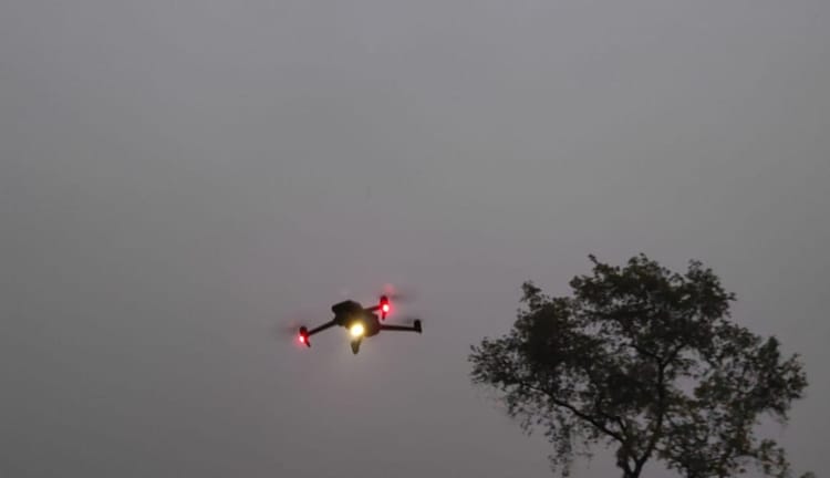 Lakhimpur - Lakhimpur Kheri News: बाघ के हमले के 72 घंटे बाद भी वन विभाग के हाथ खाली