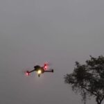 Lakhimpur - Lakhimpur Kheri News: बाघ के हमले के 72 घंटे बाद भी वन विभाग के हाथ खाली