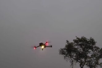 Lakhimpur - Lakhimpur Kheri News: बाघ के हमले के 72 घंटे बाद भी वन विभाग के हाथ खाली