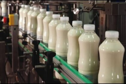 UP : - UP : बुंदेलखंड में डेयरी क्षमता बढ़ाने की परियोजनाओं को मिली मंजूरी, बांदा में लगेगा नया डेयरी प्लांट