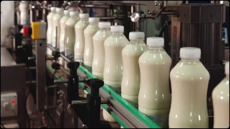 UP : - UP : बुंदेलखंड में डेयरी क्षमता बढ़ाने की परियोजनाओं को मिली मंजूरी, बांदा में लगेगा नया डेयरी प्लांट