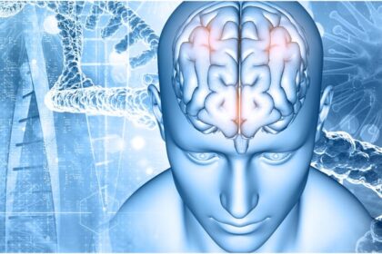 Research: - Research: पुरुष-महिलाओं का दिमाग लगभग समान, हार्मोन करते हैं प्रभावित; जानें कनेक्टिविटी और आकार में क्या फर्क