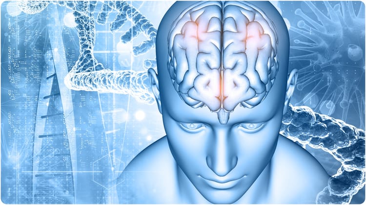 Research: - Research: पुरुष-महिलाओं का दिमाग लगभग समान, हार्मोन करते हैं प्रभावित; जानें कनेक्टिविटी और आकार में क्या फर्क