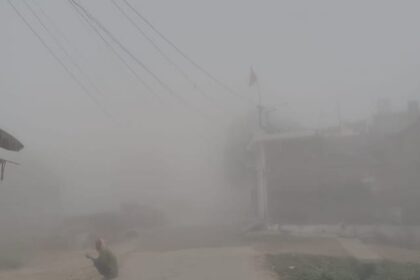 Weather - Weather Update: गर्मी में सर्दी वाला कोहरा, जानिए क्यों बदला मौसम का मिजाज, विशेषज्ञ ने बताया कारण