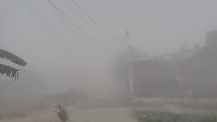 Weather - Weather Update: गर्मी में सर्दी वाला कोहरा, जानिए क्यों बदला मौसम का मिजाज, विशेषज्ञ ने बताया कारण