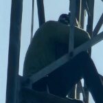 'कोई - 'कोई तो उसे बुला दो': प्रेमिका के लिए प्रेमी ने कर दी ऐसी हरकत, देख चकरा गए लोग; पुलिस के भी छूटे पसीने