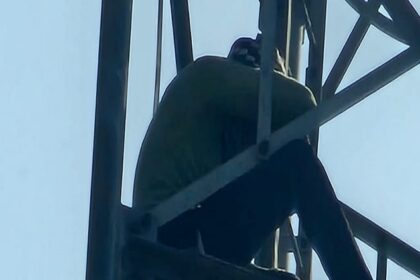 'कोई - 'कोई तो उसे बुला दो': प्रेमिका के लिए प्रेमी ने कर दी ऐसी हरकत, देख चकरा गए लोग; पुलिस के भी छूटे पसीने