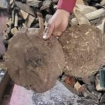 UP: मुरादाबाद - UP: मुरादाबाद में पांच रुपये का एक उपला, लकड़ी की कीमतों में वृद्धि, पश्चिम एशिया युद्ध की आग में सुलगा ईंधन