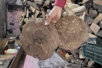 UP: मुरादाबाद - UP: मुरादाबाद में पांच रुपये का एक उपला, लकड़ी की कीमतों में वृद्धि, पश्चिम एशिया युद्ध की आग में सुलगा ईंधन