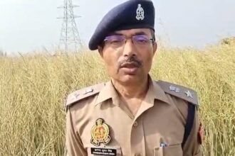 Amethi - Amethi News: खेत में मिला विवाहिता का शव, दुष्कर्म के बाद हत्या की आशंका; होली पर आई थी मायके