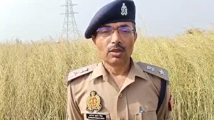 Amethi - Amethi News: खेत में मिला विवाहिता का शव, दुष्कर्म के बाद हत्या की आशंका; होली पर आई थी मायके