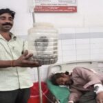UP News: - UP News: नाग को डिब्बे में बंदकर अस्पताल पहुंचा शख्स, बोला- इसी सांप ने मुझे डसा; हैरान रह गए डॉक्टर