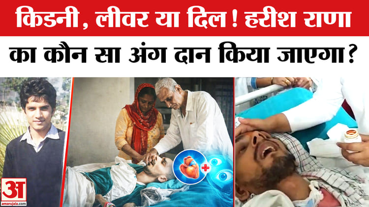 Harish - Harish Rana Case Story: मौत के बाद हरीश राणा के ये अंग होंगे दान! AIIMS में हो रही जांच