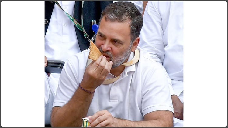 Violation - Violation of Decorum: देश के 204 पूर्व सैनिक-अफसर नाराज, संसद में व्यवहार को लेकर राहुल गांधी से माफी की मांग