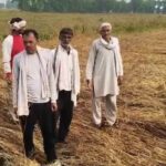 बारिश - बारिश और आंधी का कहर: मथुरा में गेहूं की फसल बर्बाद, खेतों की हालत देख रो पड़े किसान; मुआवजे की मांग