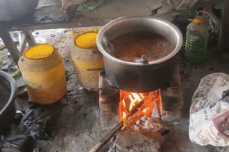 गैस सिलिंडर - गैस सिलिंडर का संकट बरकरार: लोग लंबी कतारों में खड़े होने को मजबूर, कई ढाबे-होटल बंद होने की कगार पर