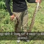 Video: - Video: लखीमपुर खीरी में 'रेस्क्यू गर्ल' ने पकड़ा 13 फीट लंबा अजगर