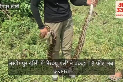 Video: - Video: लखीमपुर खीरी में 'रेस्क्यू गर्ल' ने पकड़ा 13 फीट लंबा अजगर
