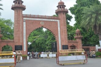 AMU: - AMU: केसर-एलोवेरा से होगा डायबिटीज-दिल की बीमारियों से बचाव, एएमयू में चूहों पर रिसर्च रही सफल