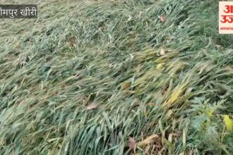 Weather: - Weather: लखीमपुर खीरी में तेज हवा के साथ हुई बारिश, कुछ इलाकों में गिरे ओले